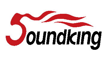 Logo Soundking