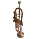 TROMPETA VIVALDI, PALOROSA, CON BOQUILLA Y ESTUCHE