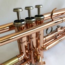 TROMPETA VIVALDI, PALOROSA, CON BOQUILLA Y ESTUCHE