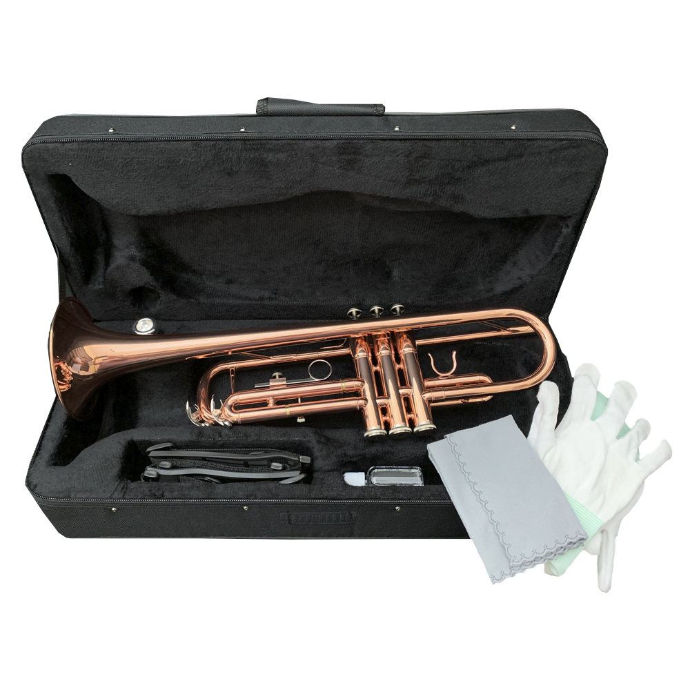 TROMPETA VIVALDI, PALOROSA, CON BOQUILLA Y ESTUCHE