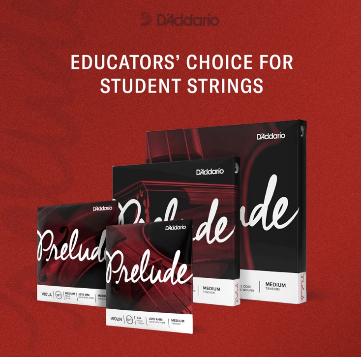 SET DE CUERDAS D´ADDARIO, PARA VIOLIN 4/4, SERIE DEBUT (copia)