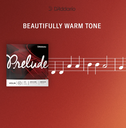 SET DE CUERDAS D´ADDARIO, PARA VIOLIN 4/4, SERIE DEBUT (copia)