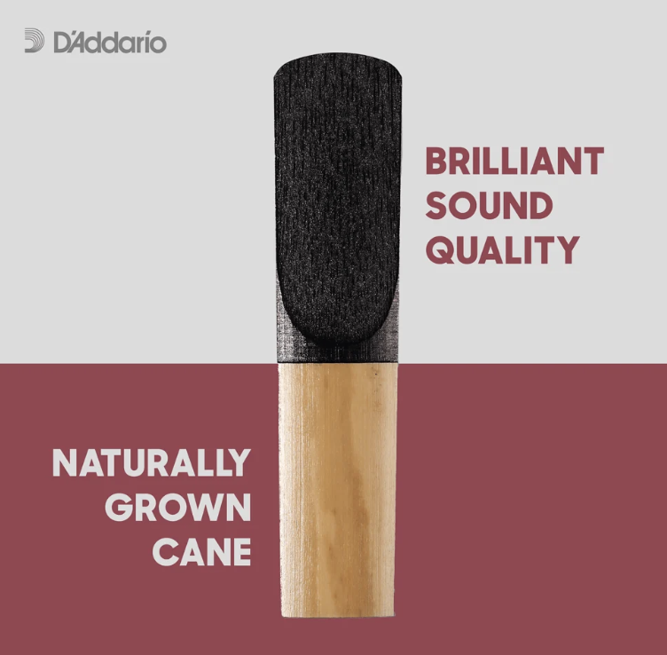 CAÑUELA PLASTICOVER RICO D´ADDARIO, PARA CLARINETE, MEDIDA 3, X UNIDAD