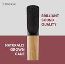 CAÑUELA PLASTICOVER RICO D´ADDARIO, PARA CLARINETE, MEDIDA 3, X UNIDAD