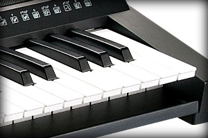 TECLADO ACCION DE SINTETIZADOR KURZWEIL, 61 TECLAS, SENSIBLE AL TACTO, USB, COLOR NEGRO