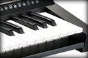 TECLADO ACCION DE SINTETIZADOR KURZWEIL, 61 TECLAS, SENSIBLE AL TACTO, USB, COLOR NEGRO