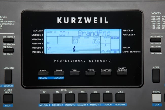 TECLADO ACCION DE SINTETIZADOR KURZWEIL, 61 TECLAS, SENSIBLE AL TACTO, USB, COLOR NEGRO