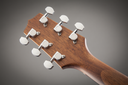 GUITARRA ELECTROACUSTICA TAKAMINE, 41, COMBINACION DE MADERA CEDRO, CAOBA Y OVANGKOL, COLOR NATURAL MATE, CON ESTUCHE