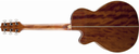 GUITARRA ELECTROACUSTICA TAKAMINE, 41, COMBINACION DE MADERA CEDRO, CAOBA Y OVANGKOL, COLOR NATURAL MATE, CON ESTUCHE