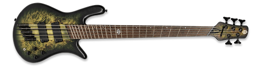 [NSDM5HAUNT] BAJO ELECTRICO SPECTOR, SERIE NS DOMENSION, 5 CUERDAS, ACTIVO, MADERA ALAMO, PANTANO DE CENIZA, WENGUÉ,, COLOR MATE DE MUSGO EMBRUJADO