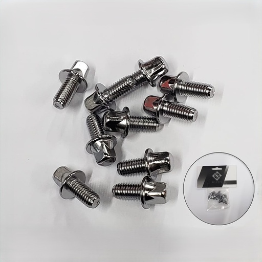 [PATS-4N/10-HP] SET DE TORNILLOS DIXON, 10 PIEZAS, 10 MM, PARA USO EN VARIAS PARTES DE UNA BATERIA, PLATEADOS.